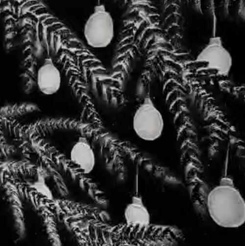 baubles and branches