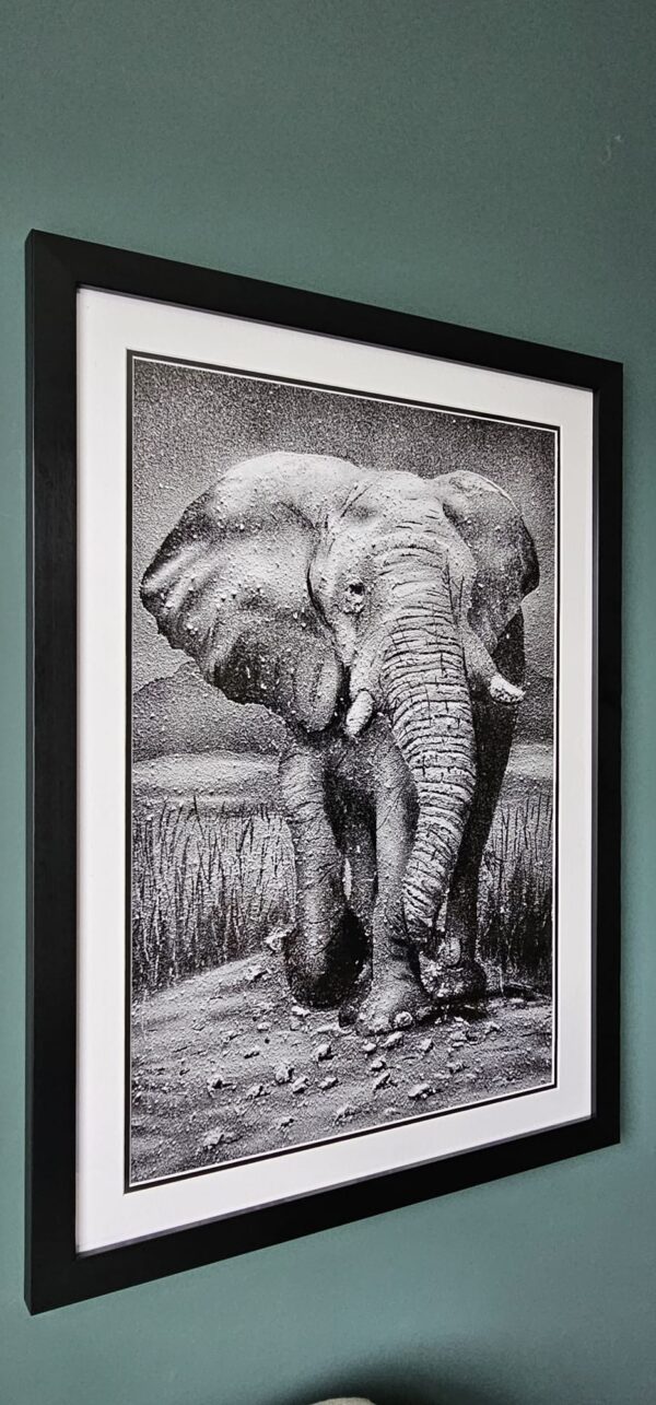 The Wise Elephant - Elephant Framed Print